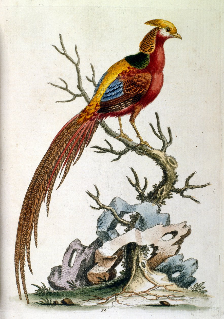 Illustration à l