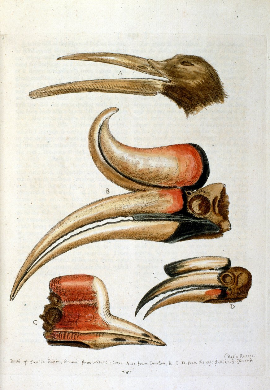 Illustration à l