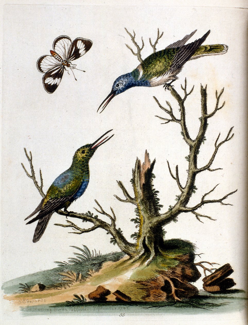 Illustration à l