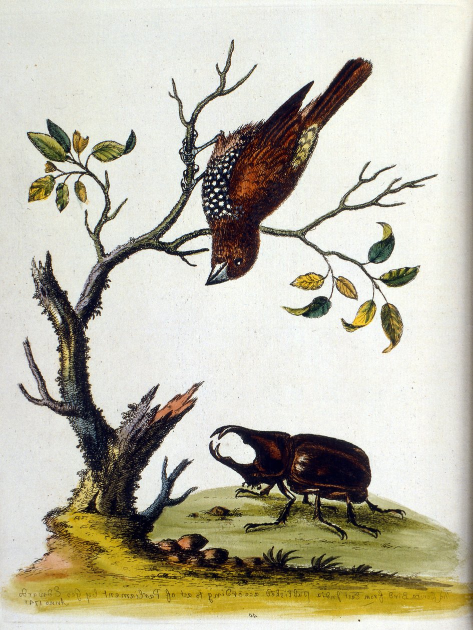 Illustration à l