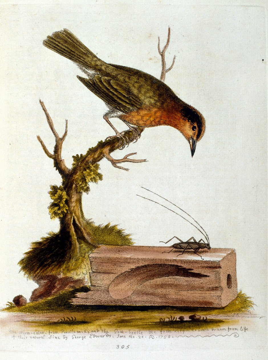 Illustration à l