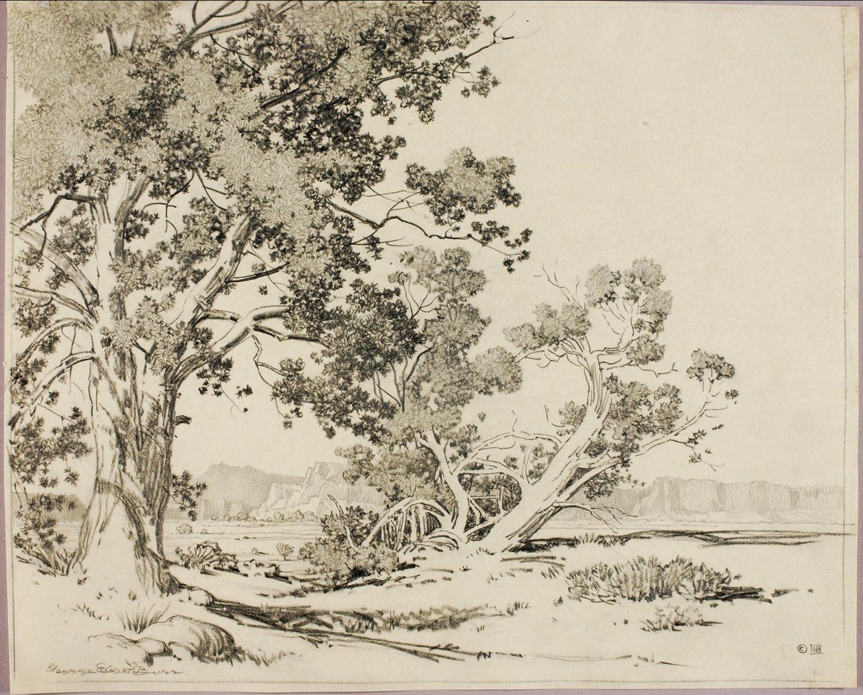 (Sans titre) - George Elbert Burr