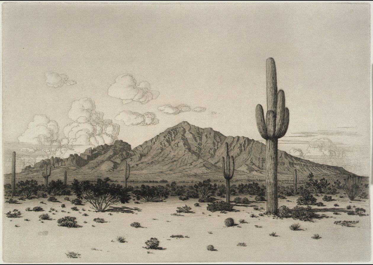 Mont Camelback, Phoenix - George Elbert Burr