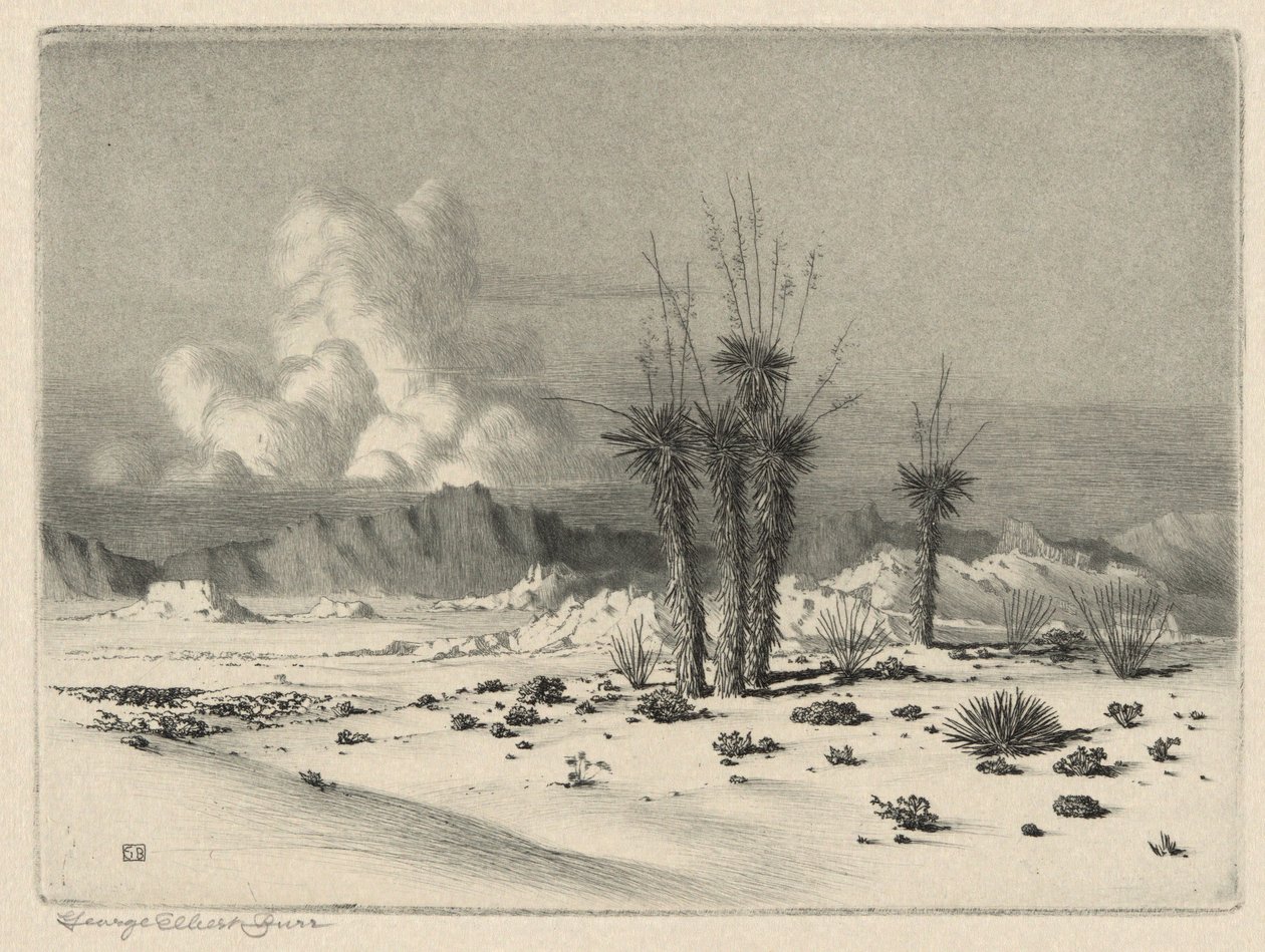 Soir, Arizona - George Elbert Burr