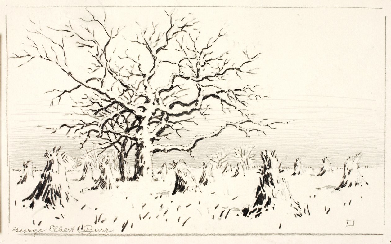 Motif de la gravure - George Elbert Burr