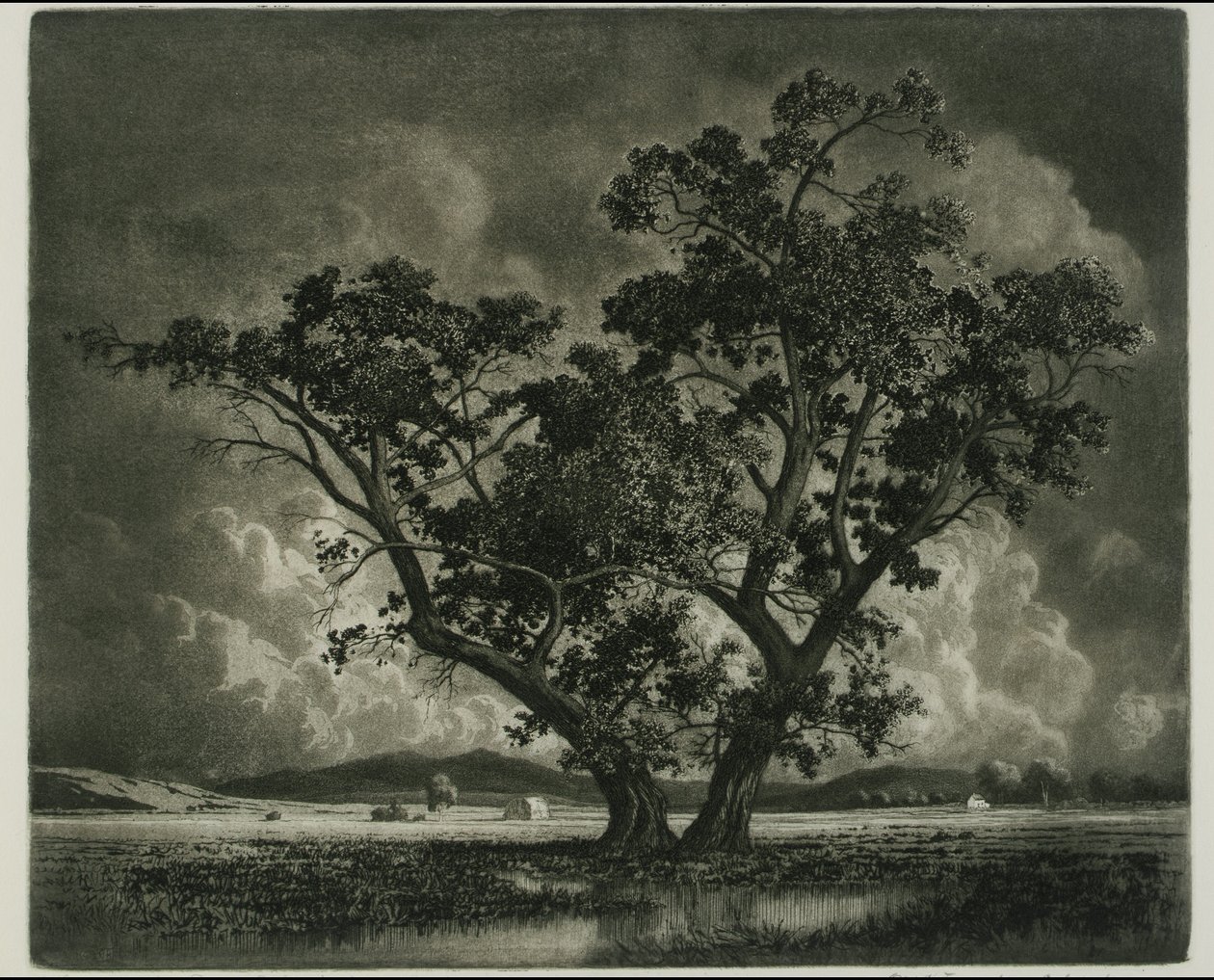 Old Cottonwoods, Colorado - George Elbert Burr