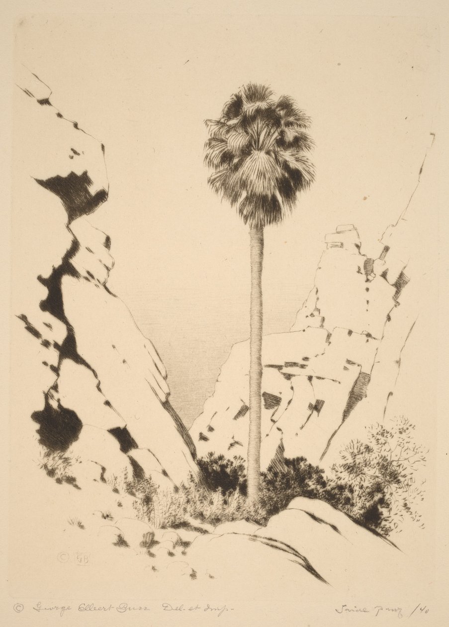 Palm Canyon (no 1) - George Elbert Burr