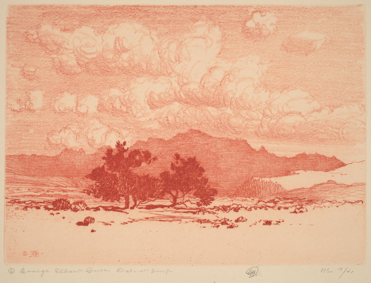 Arbres palo verde - George Elbert Burr
