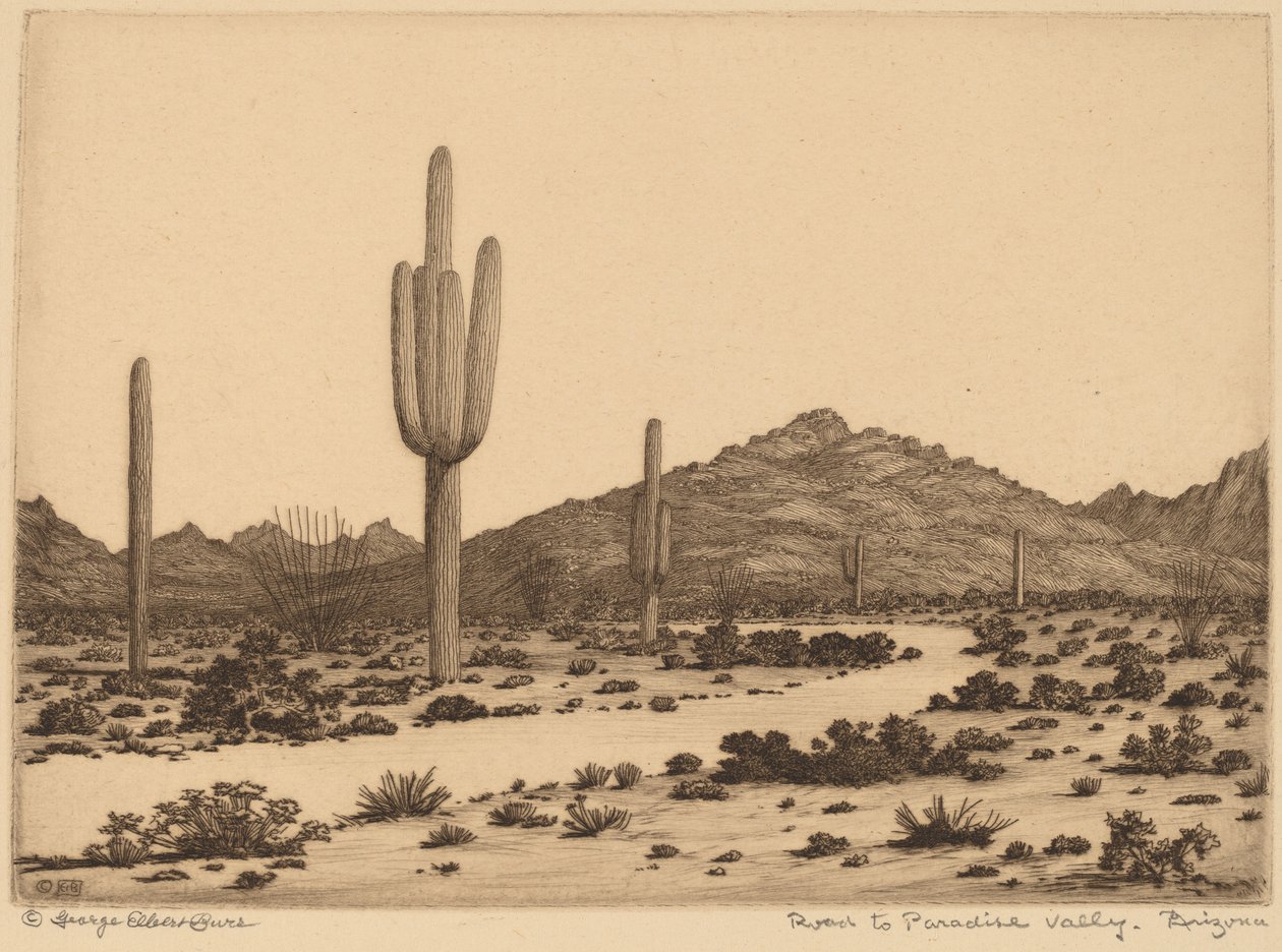 Route vers Paradise Valley, Arizona - George Elbert Burr
