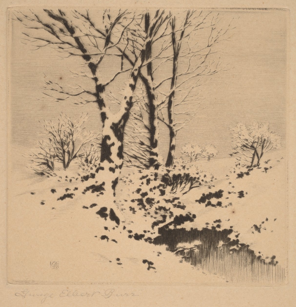 Neige - George Elbert Burr