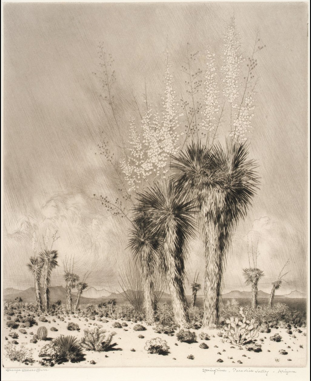 Printemps, Paradise Valley, Arizona - George Elbert Burr