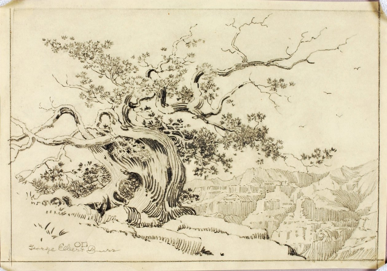 Sans titre (dessin de report pour Soir, Apache Trail, Arizona) - George Elbert Burr