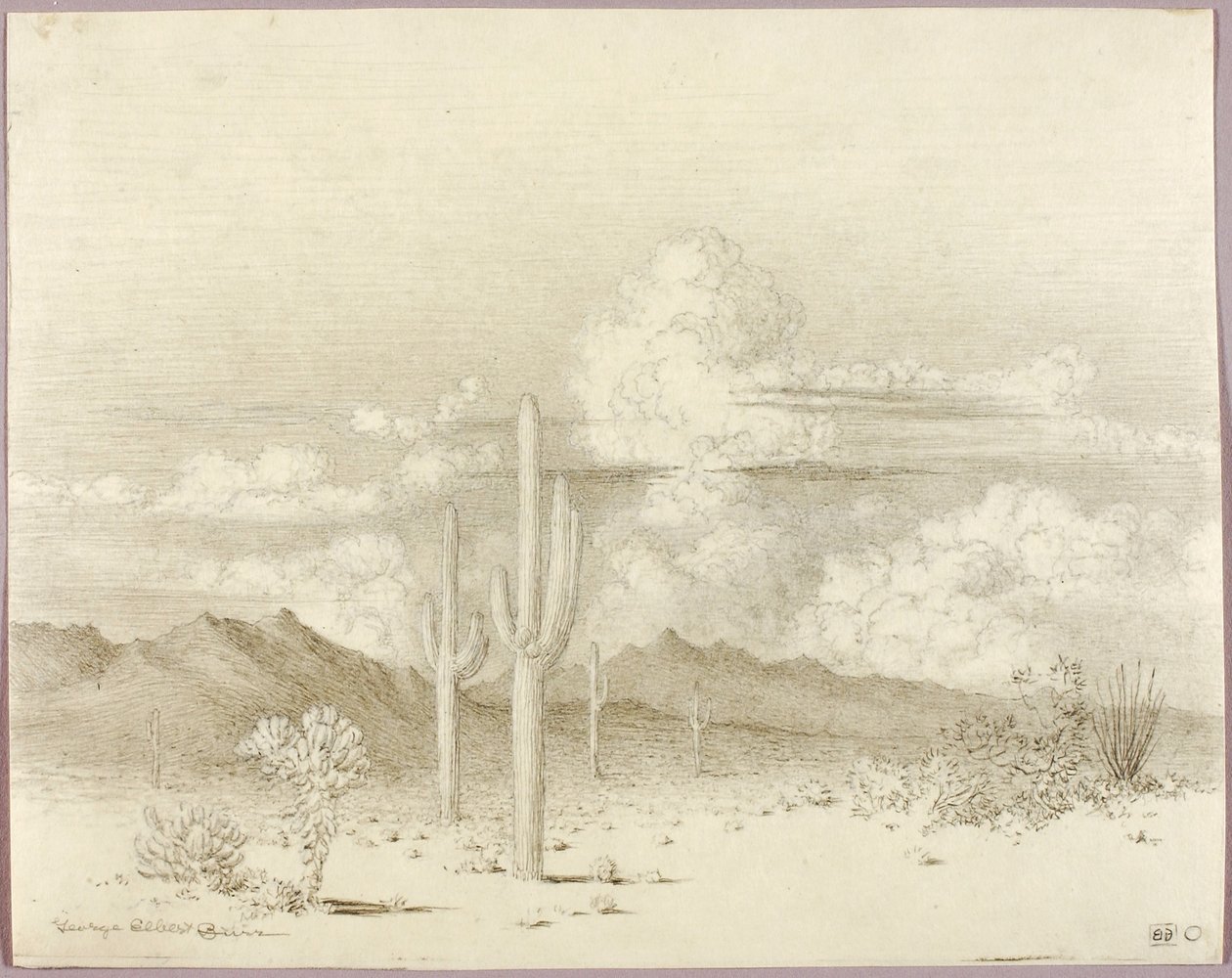 Sans titre (dessin de transfert pour Soir, Paradise Valley, Arizona) - George Elbert Burr