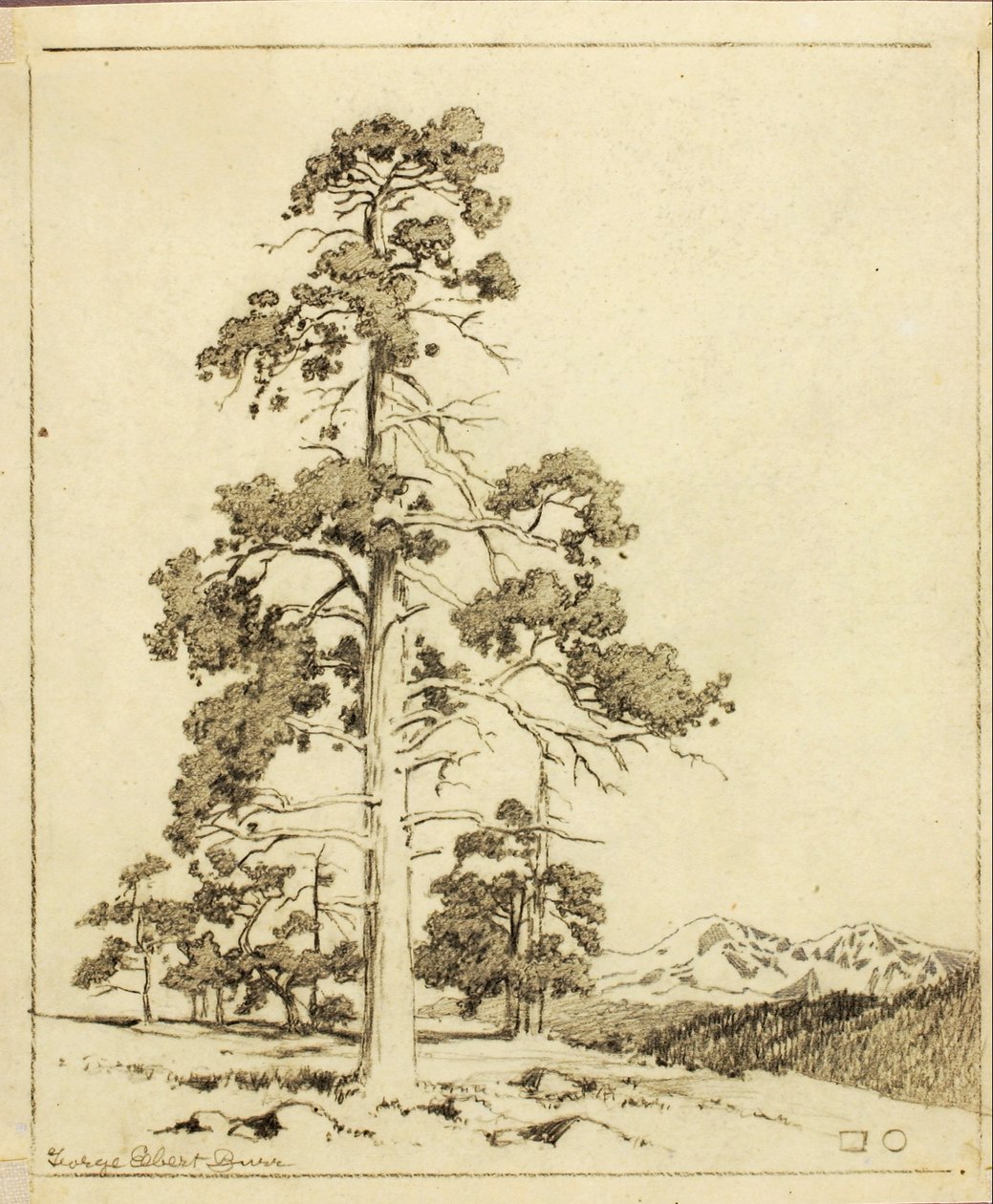 Sans titre (dessin de report pour impression) - George Elbert Burr