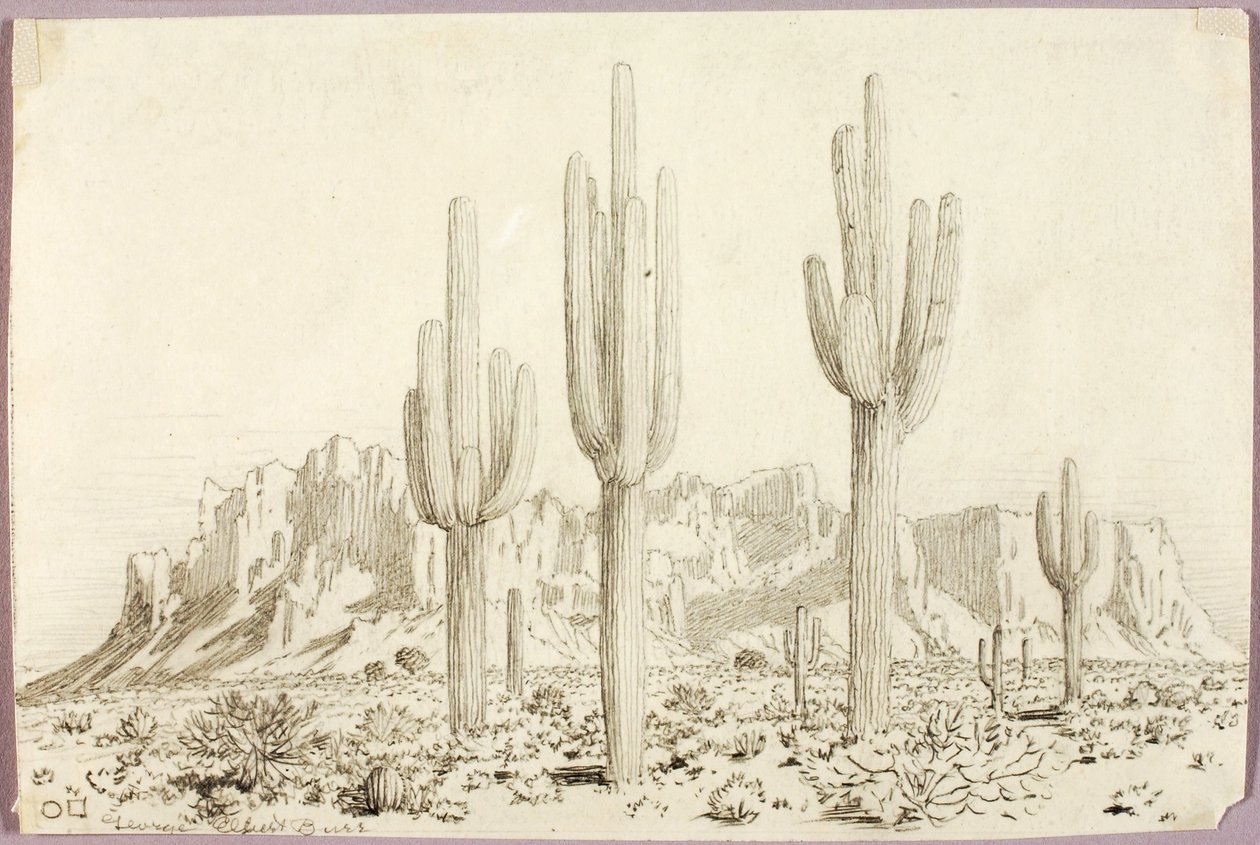 Sans titre - George Elbert Burr