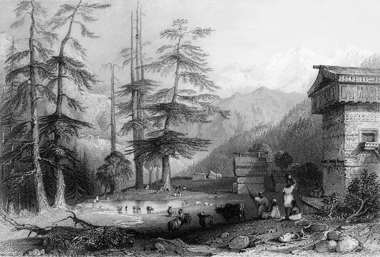 Village de Koghera et forêt de Deodar, près du Choor - George Francis White