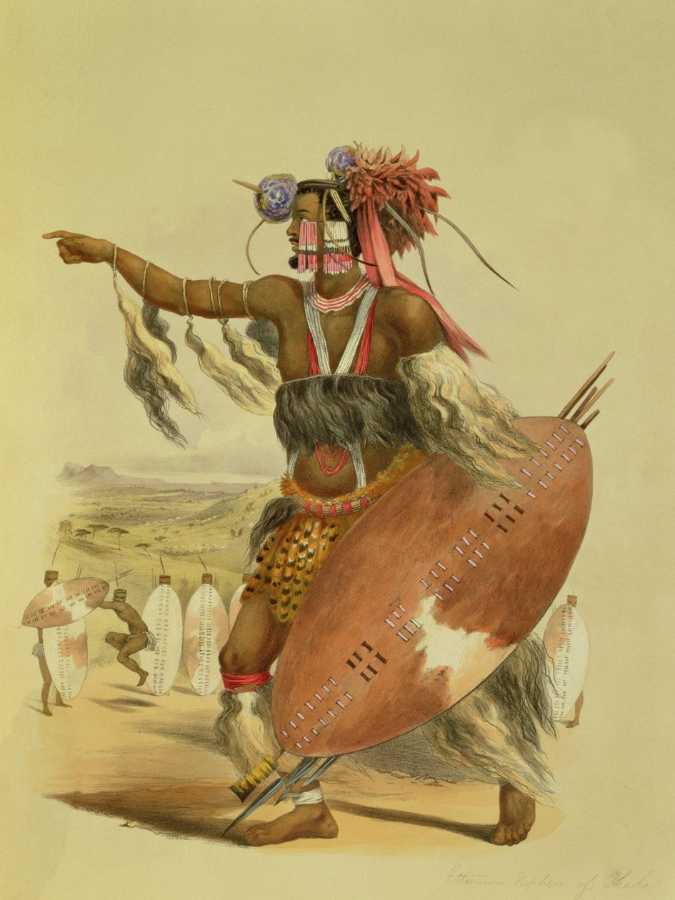 Guerrier zoulou, Utimuni, neveu de Chaka le dernier roi zoulou, planche 13 de 