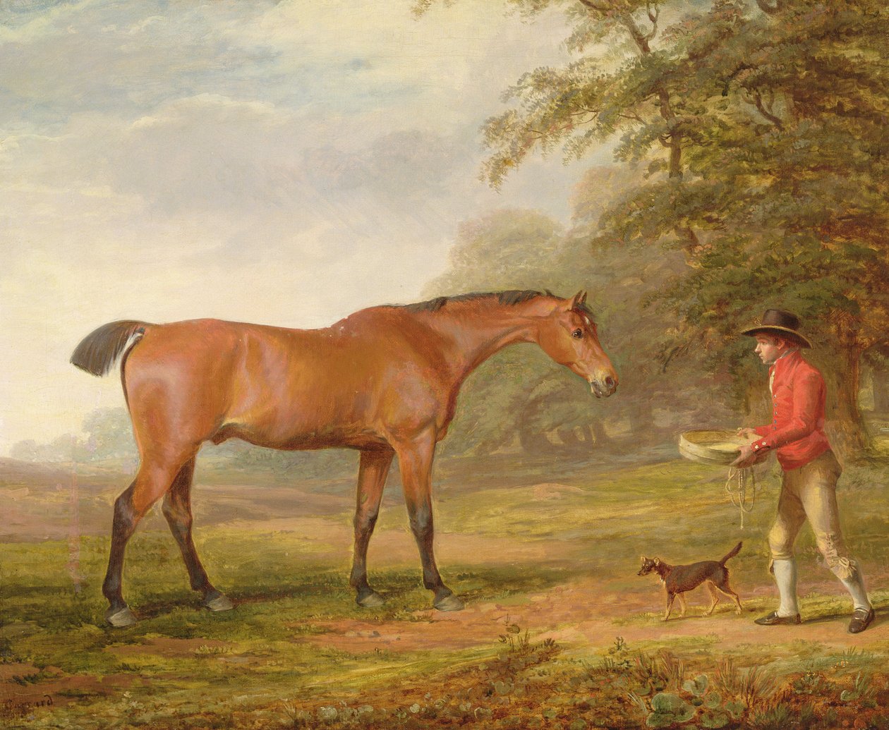 Un cheval bai approché par un garçon d