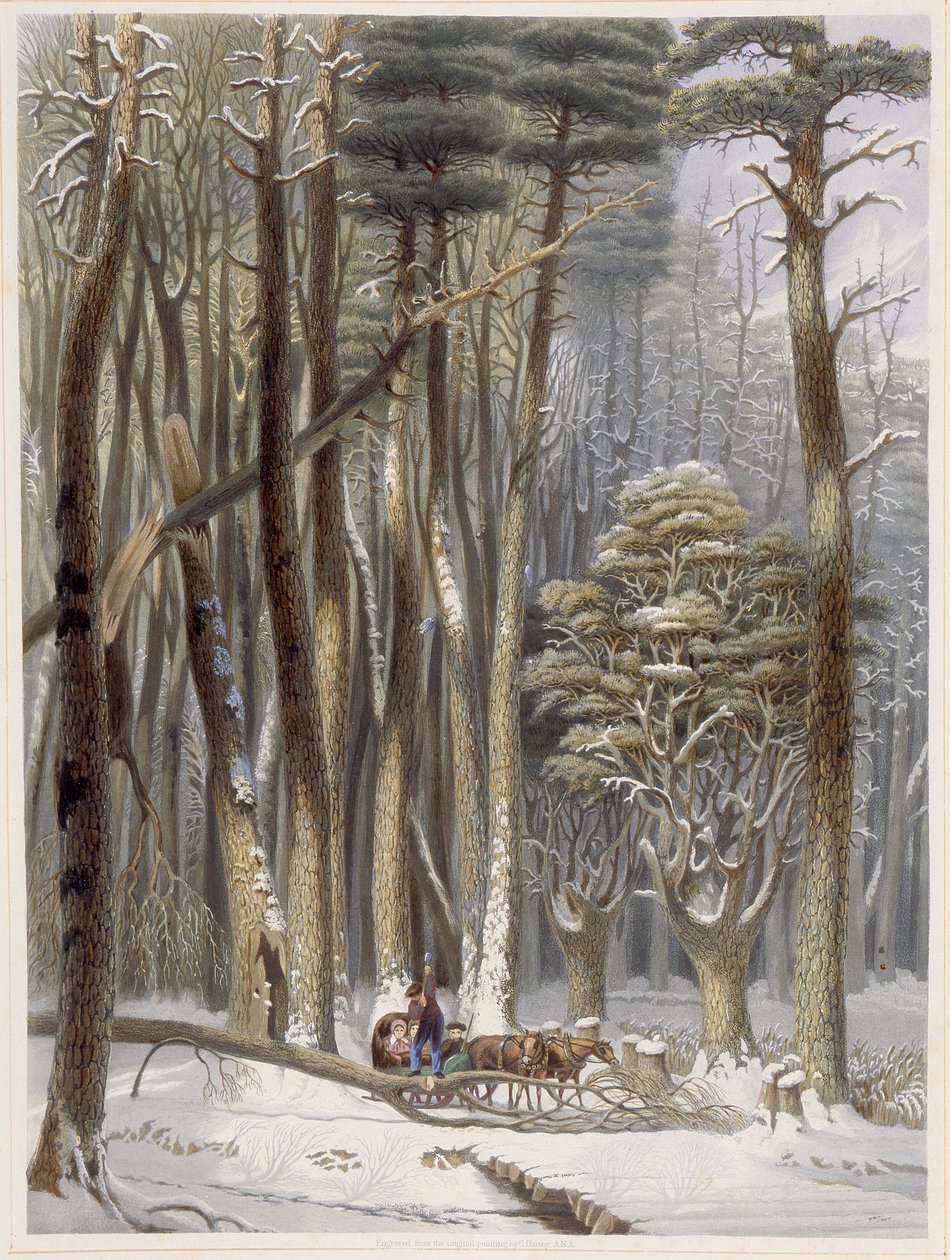 Hiver, Voyageurs entravés dans une forêt de pins, de Scènes de la forêt primitive d