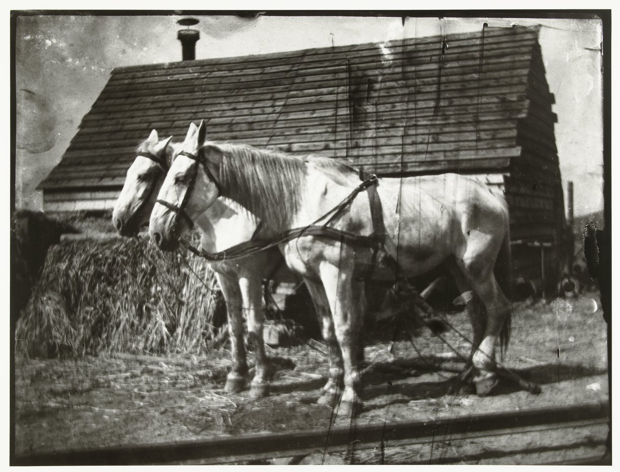 Chevaux sur la route de Cruquius - George Hendrik Breitner