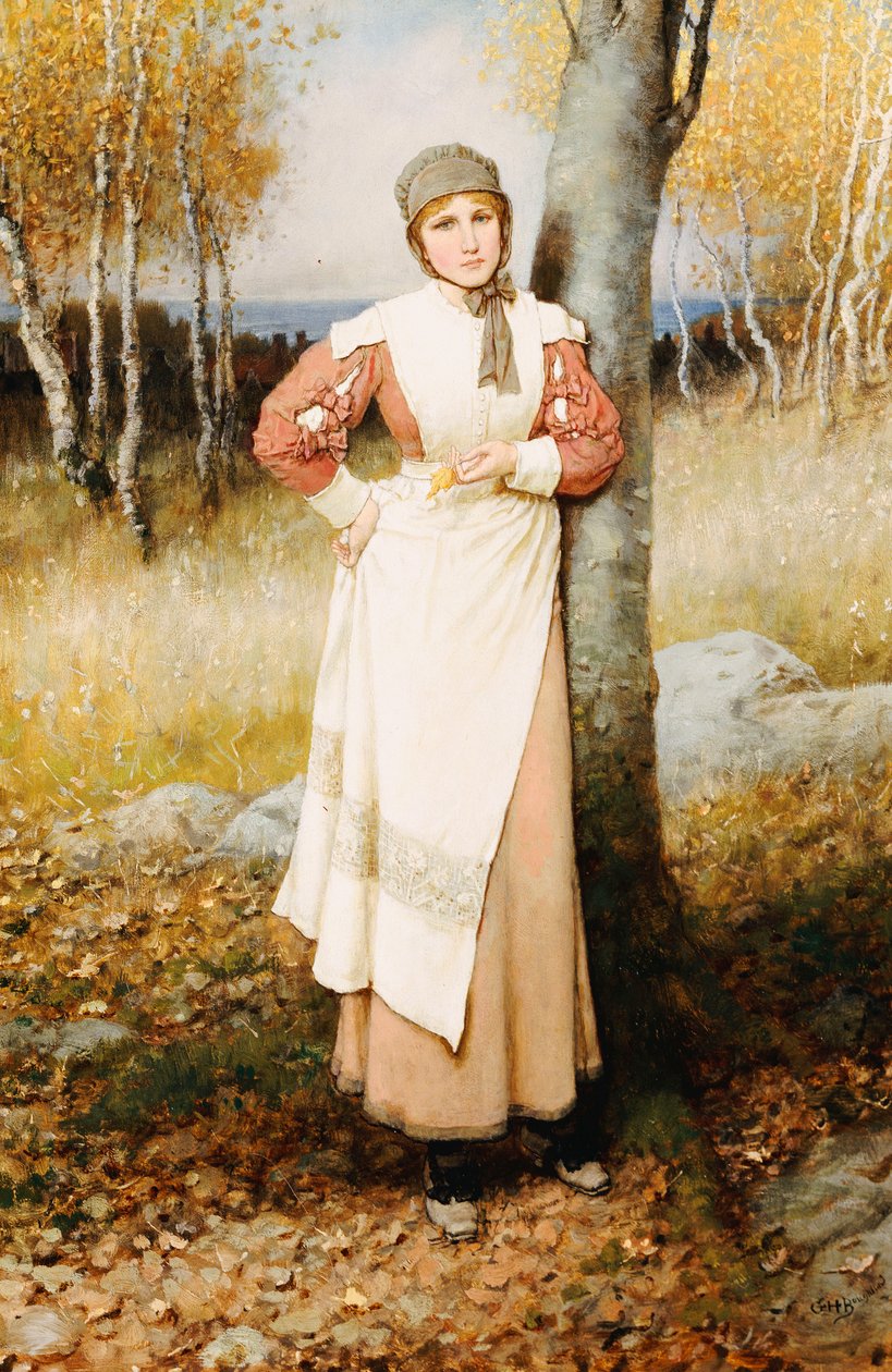 Une rose en Nouvelle-Angleterre - George Henry Boughton