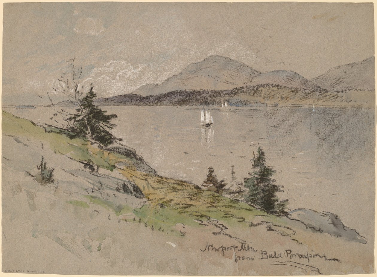 Montagne de Newport depuis Bald Porcupine - George Henry Smillie