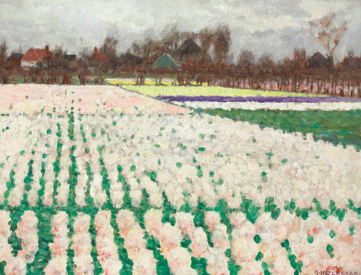 Champs de jacinthes - George Hitchcock