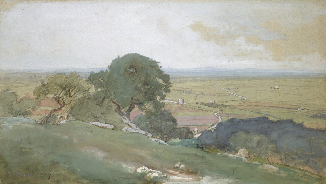 Oliviers à Tivoli - George Inness
