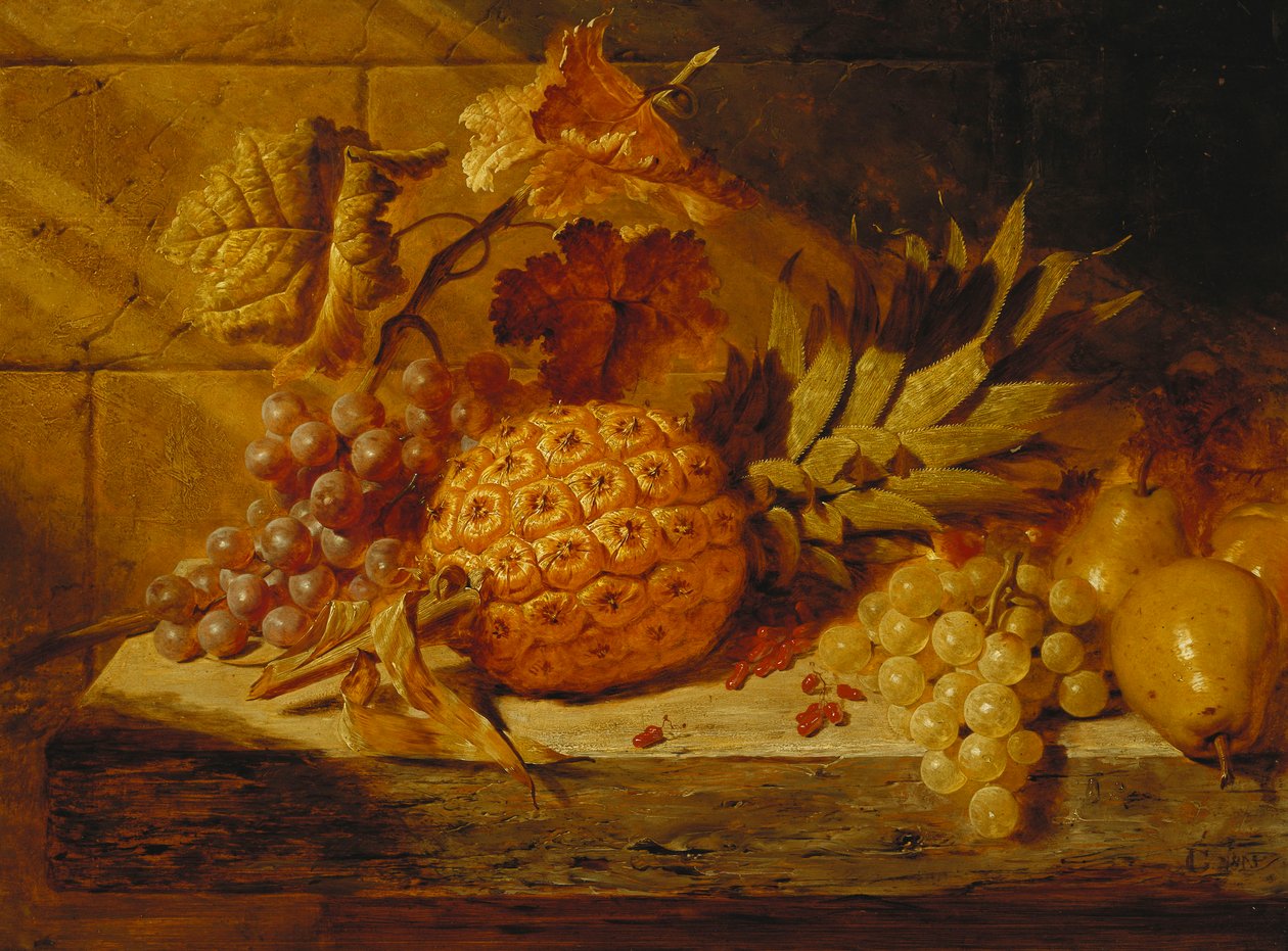 Raisins noirs et blancs, poires, groseilles rouges et ananas sur un rebord, 1845 - George Lance
