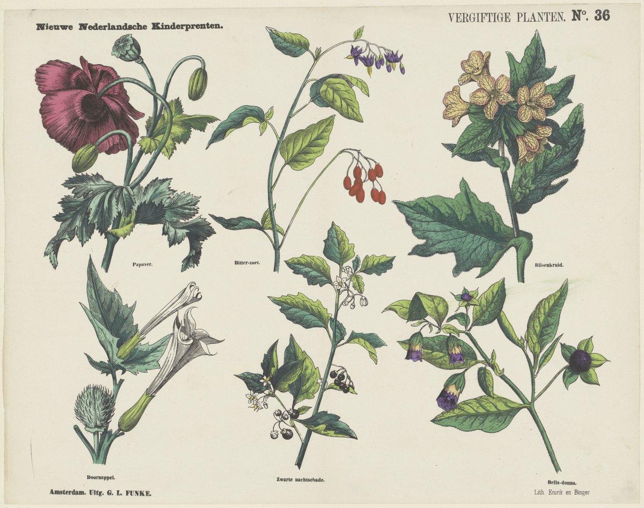 Plantes Vénéneuses - George Lodewijk Funke
