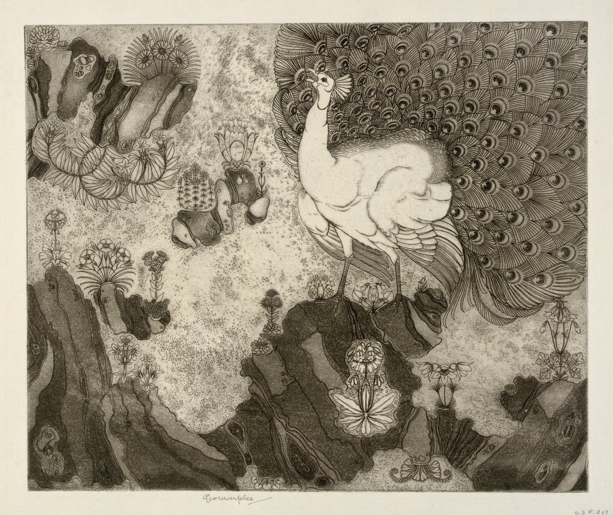 Jardin de rocaille - George Marples