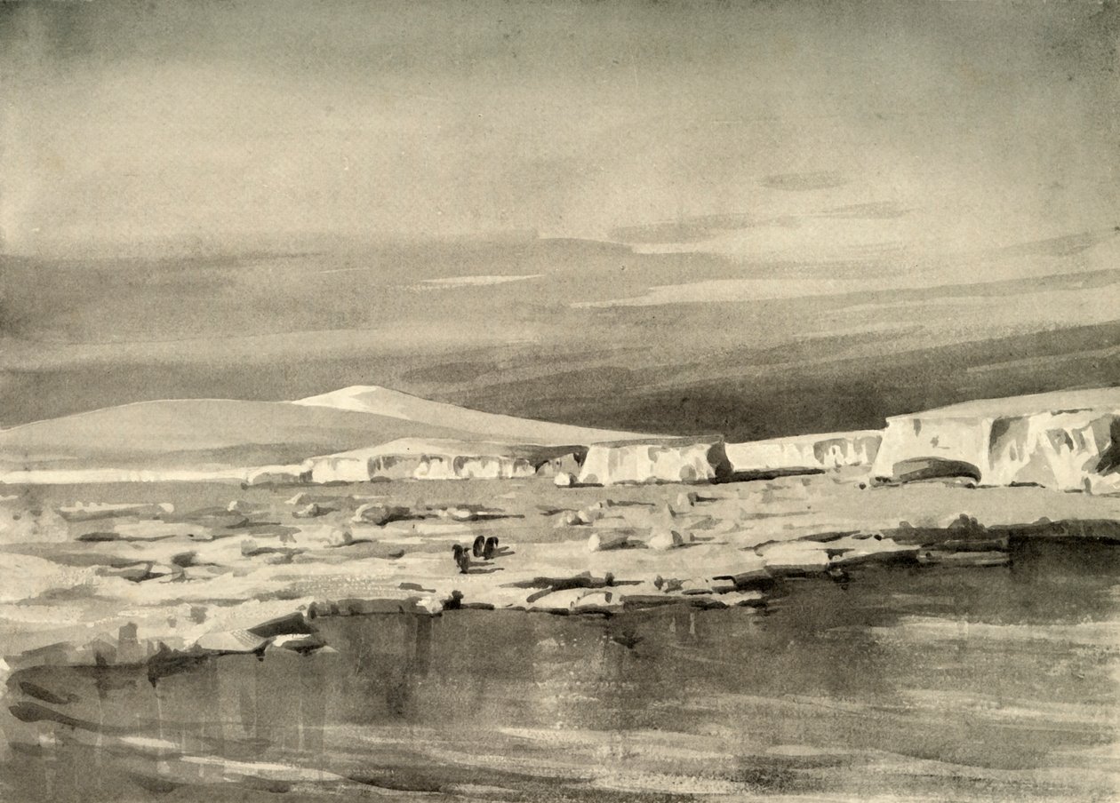 Baie des Baleines, ou Baie du Ballon, vers 1908 - George Marston