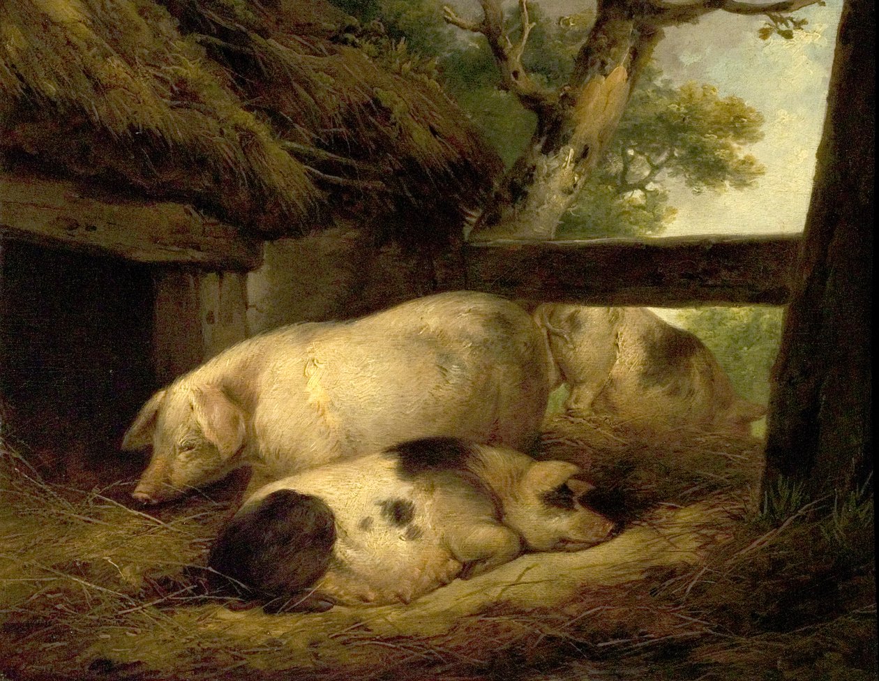 Étude de cochons - George Morland