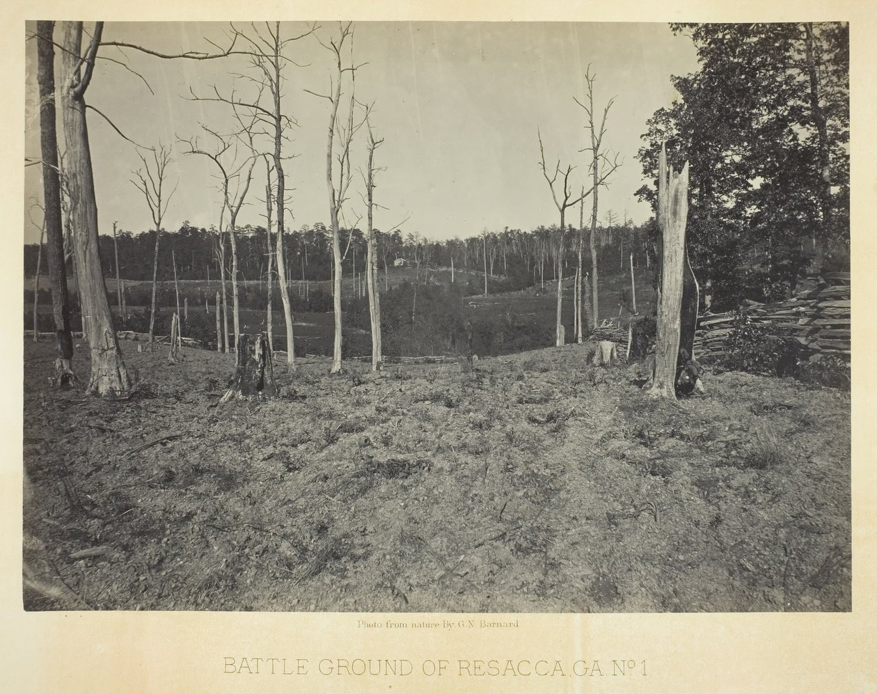 Champ de bataille de Resacca, GA, No. 1, 1866 - George N. Barnard