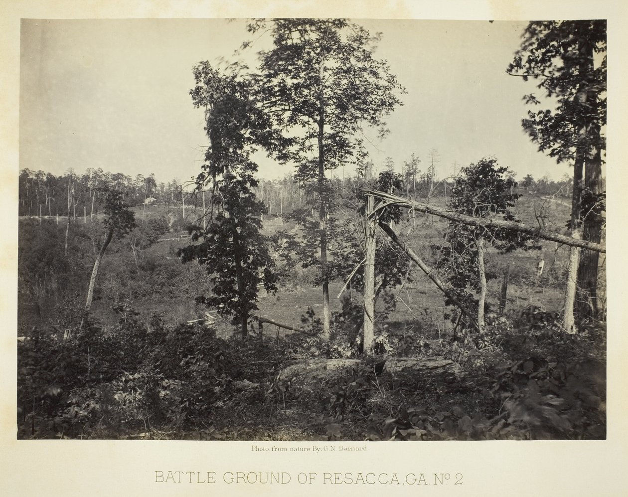 Champ de bataille de Resacca, GA, n° 2 - George N. Barnard