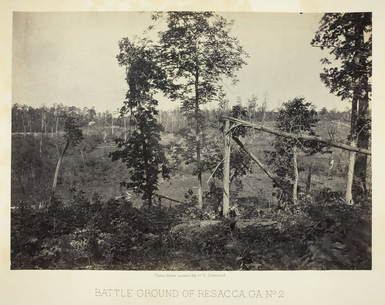 Champ de bataille de Resacca, GA, No. 2, 1866 - George N. Barnard