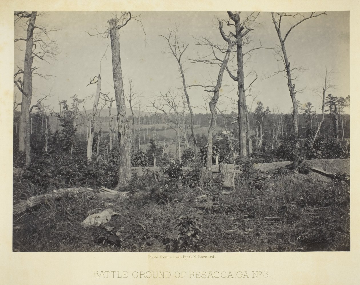 Champ de bataille de Resacca, GA, n° 3 - George N. Barnard