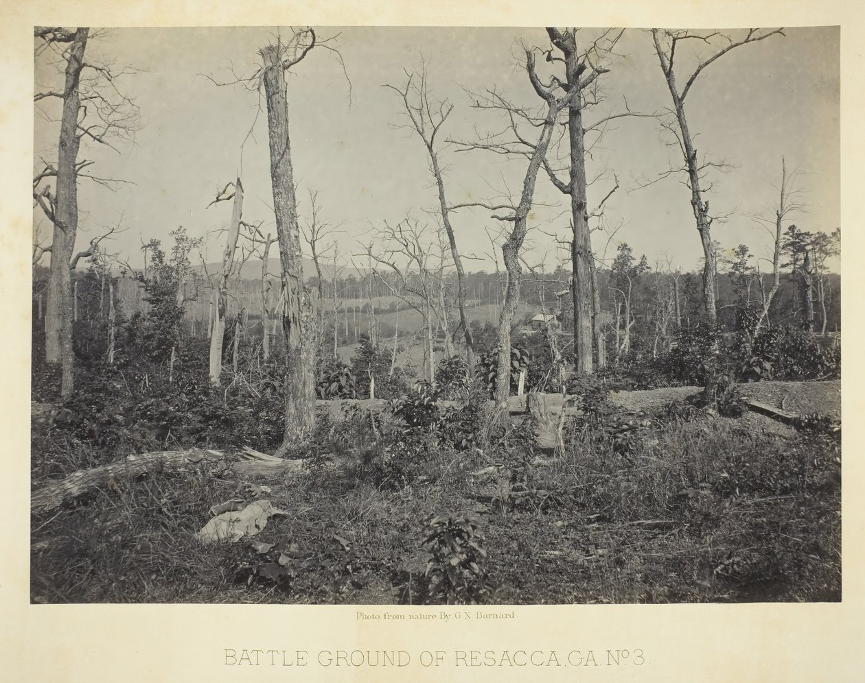 Champ de bataille de Resacca, GA, No. 3, 1866 - George N. Barnard