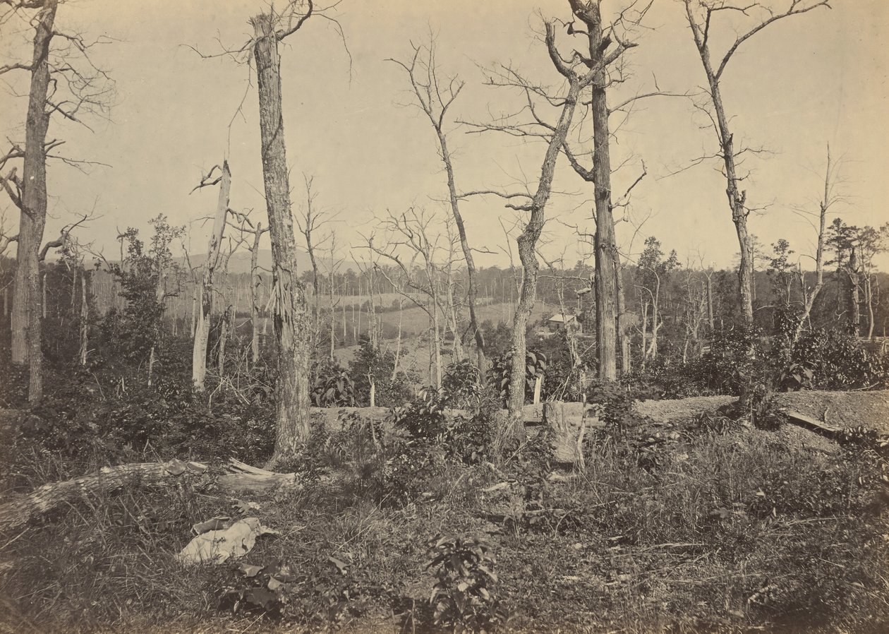 Champ de bataille de Resaca, Géorgie, No 3,1864 (photo) - George N. Barnard