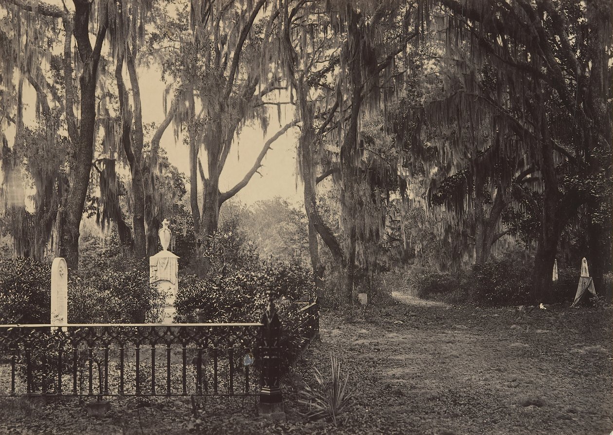 Buen-Ventura, Savannah, Géorgie, années 1860 - George N. Barnard