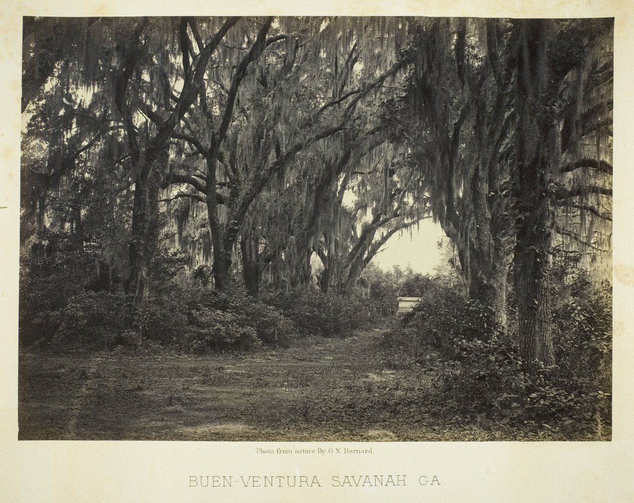 Buen-Ventura Savannah, Ga. - George N. Barnard
