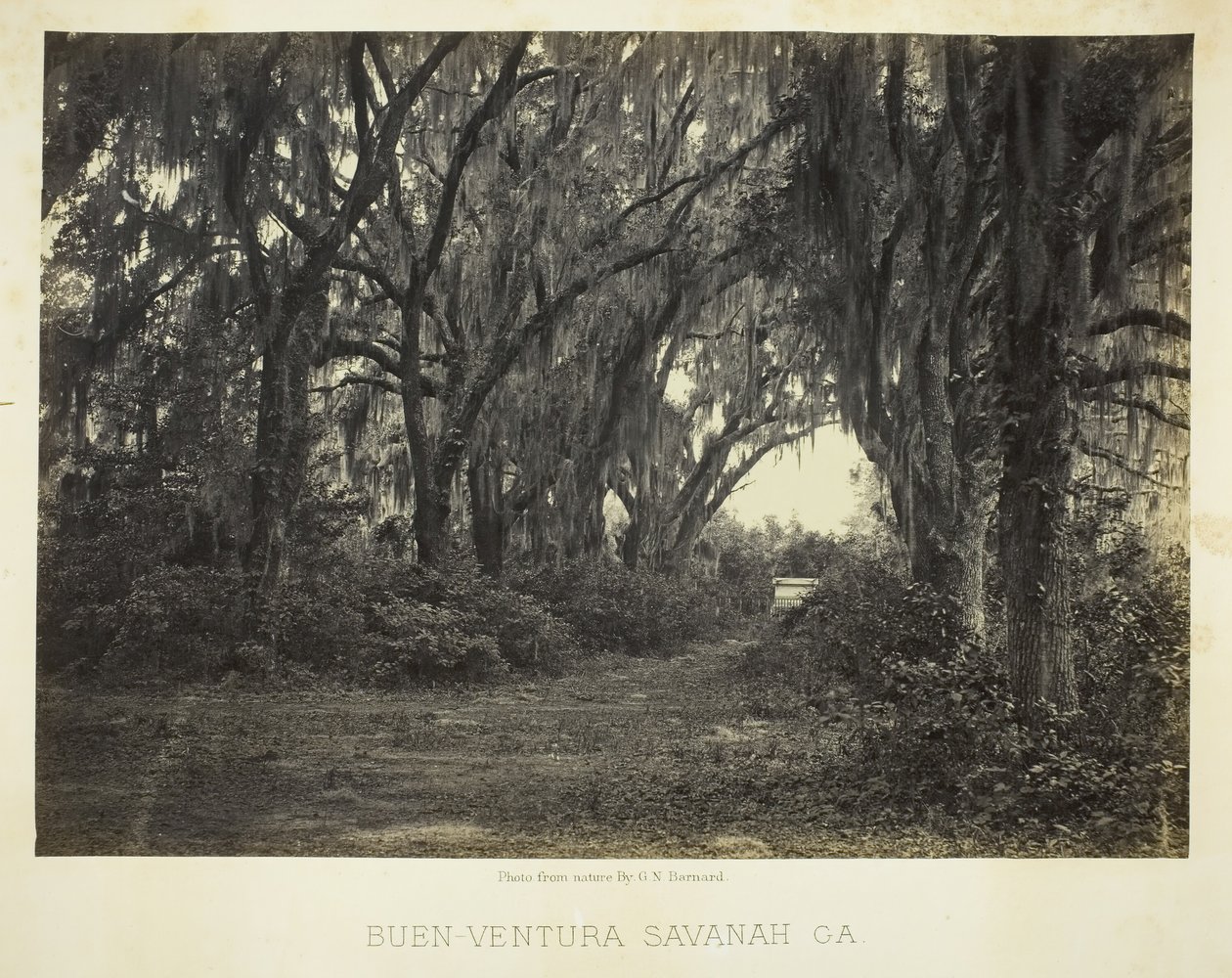 Buen-Ventura Savannah, Ga. - George N. Barnard