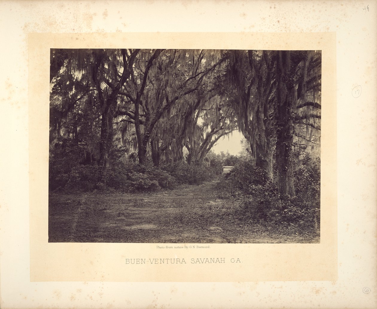 Buen-Ventura, Savannah, Géorgie - George N. Barnard