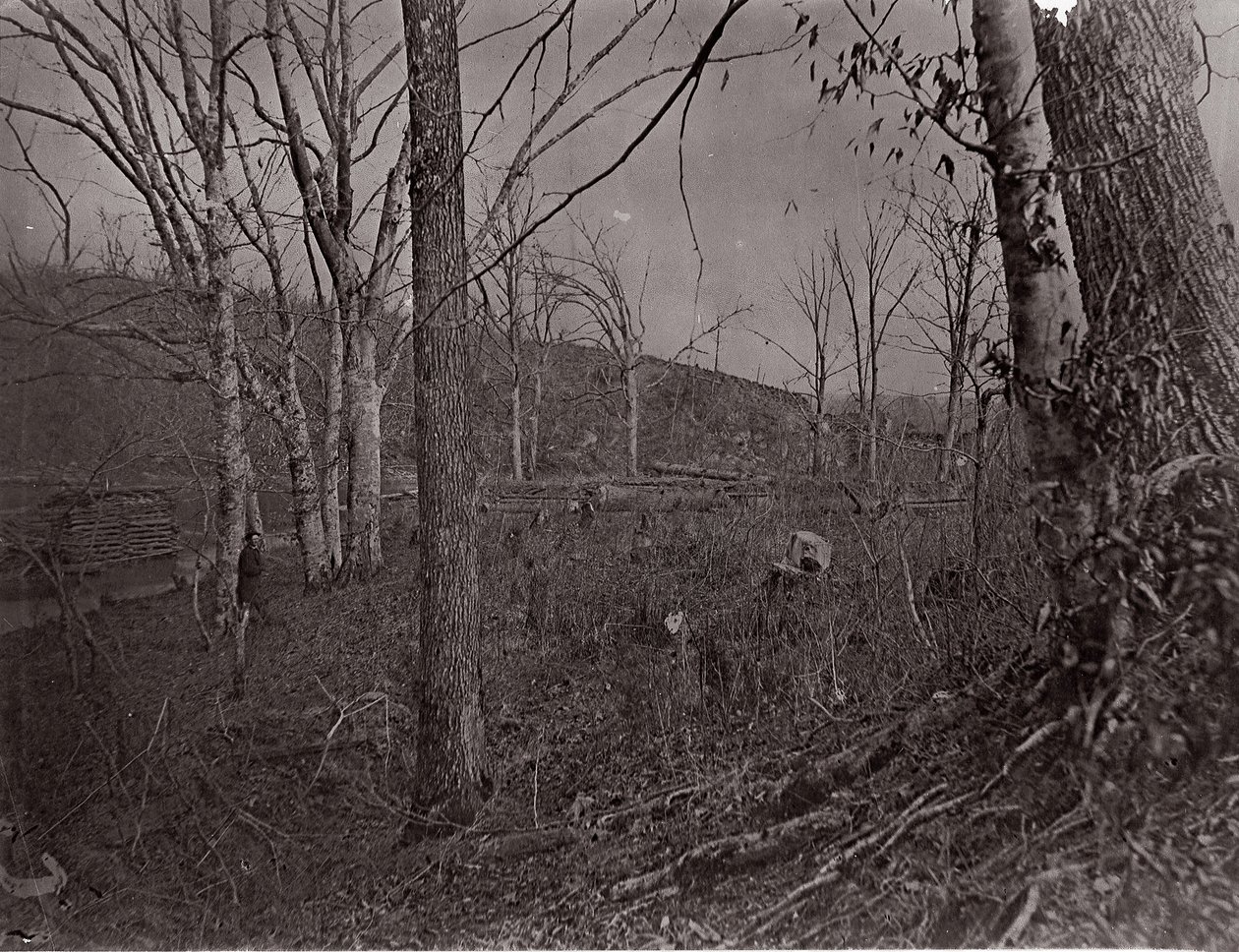 Bull Run, Virginie, 1861-62 - George N. Barnard
