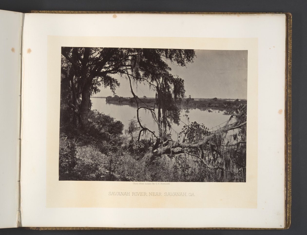 La rivière Savannah, près de Savannah, Géorgie - George N. Barnard