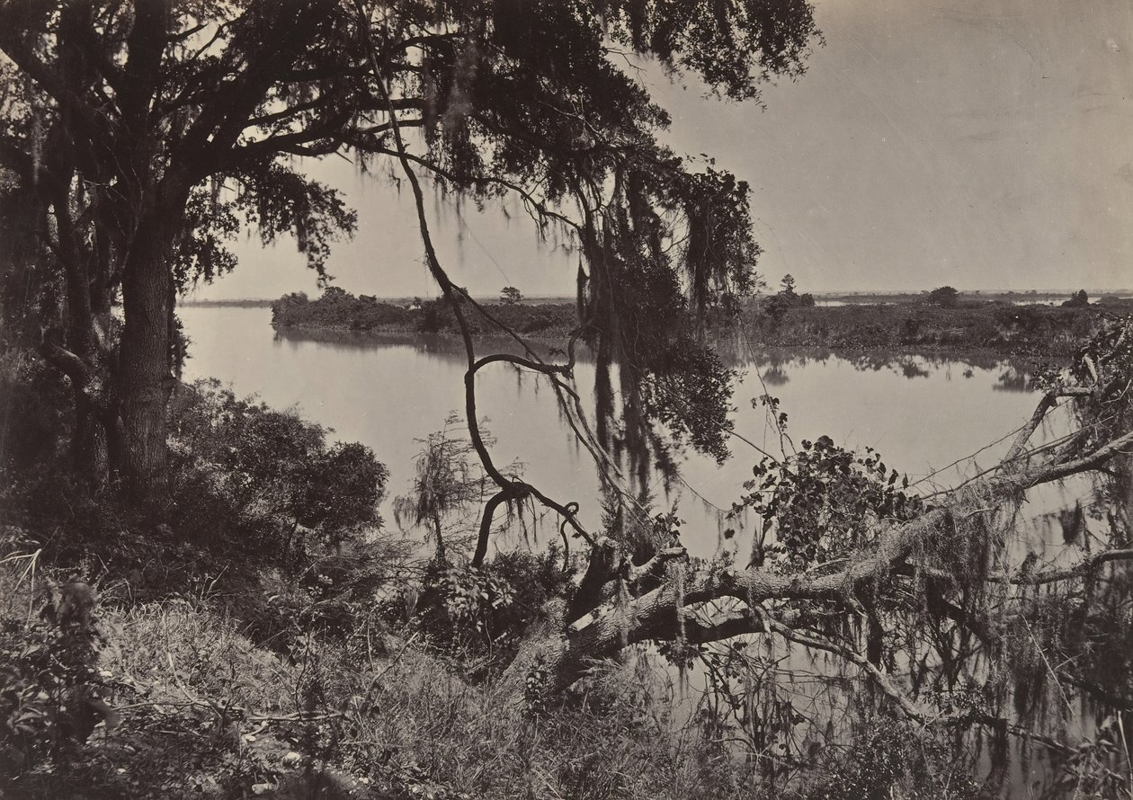 Rivière Savanah, près de Savanah, Géorgie, années 1860 - George N. Barnard