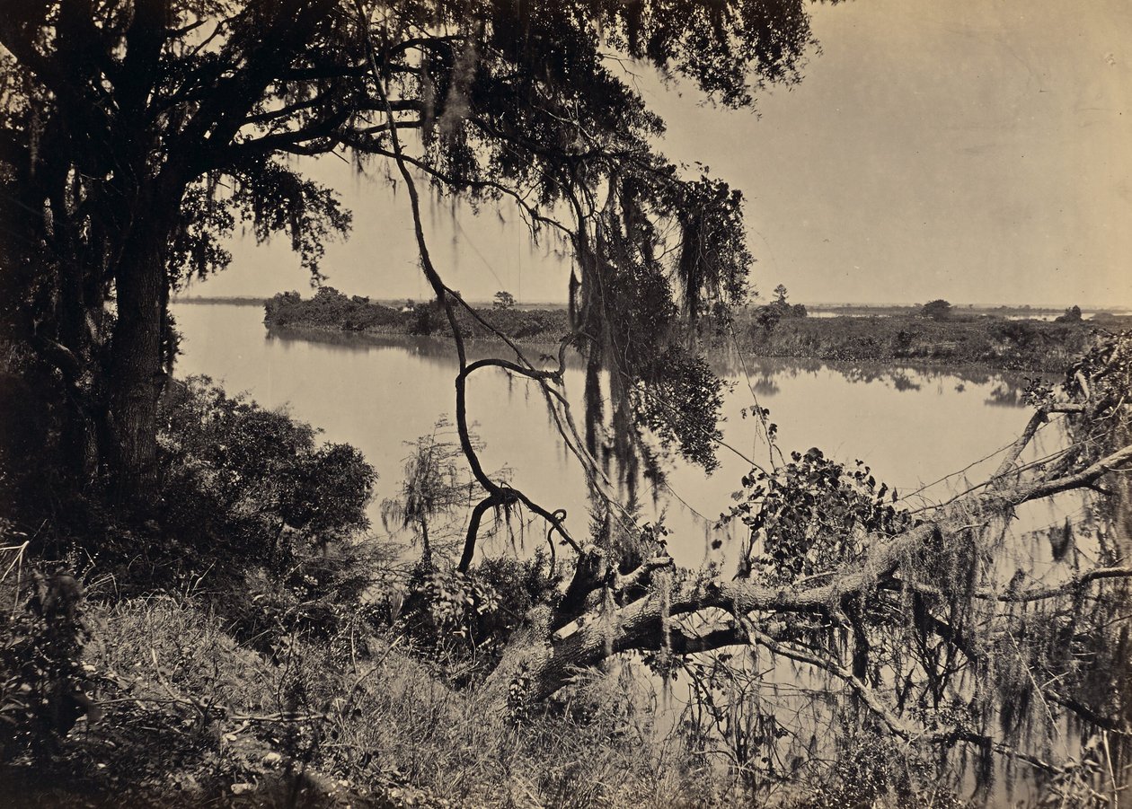 [Rivière Savannah, près de Savannah, Géorgie] - George N. Barnard