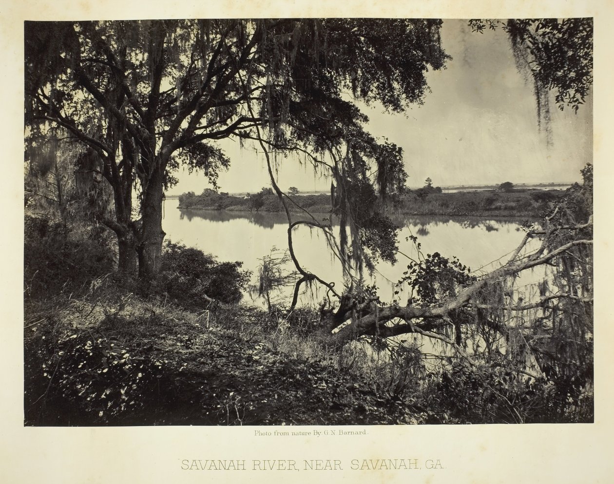 Rivière Savannah, près de Savannah, GA, 1866 - George N. Barnard