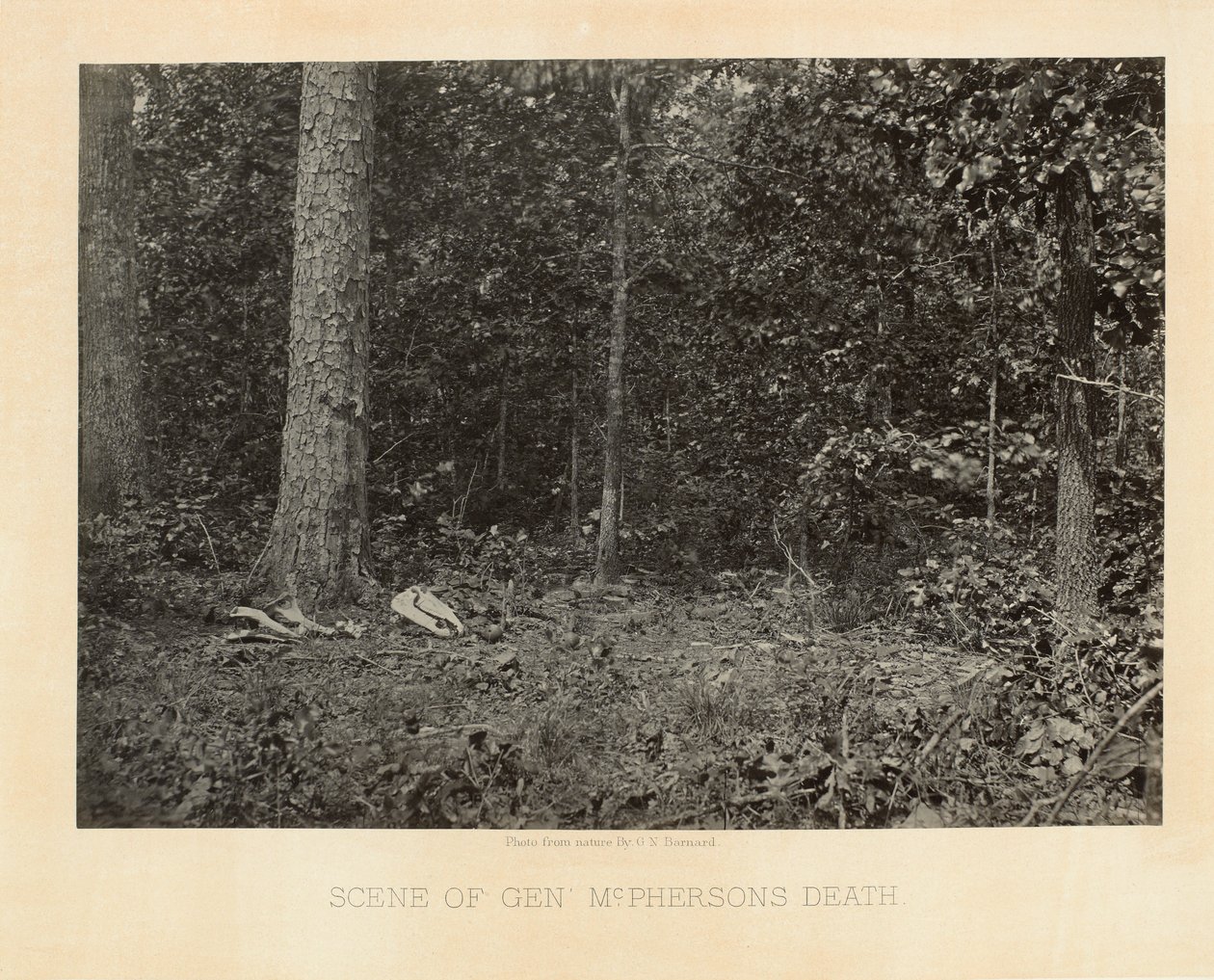 Scène de la mort du général McPherson, Géorgie, des Vues photographiques de la campagne de Sherman - George N. Barnard