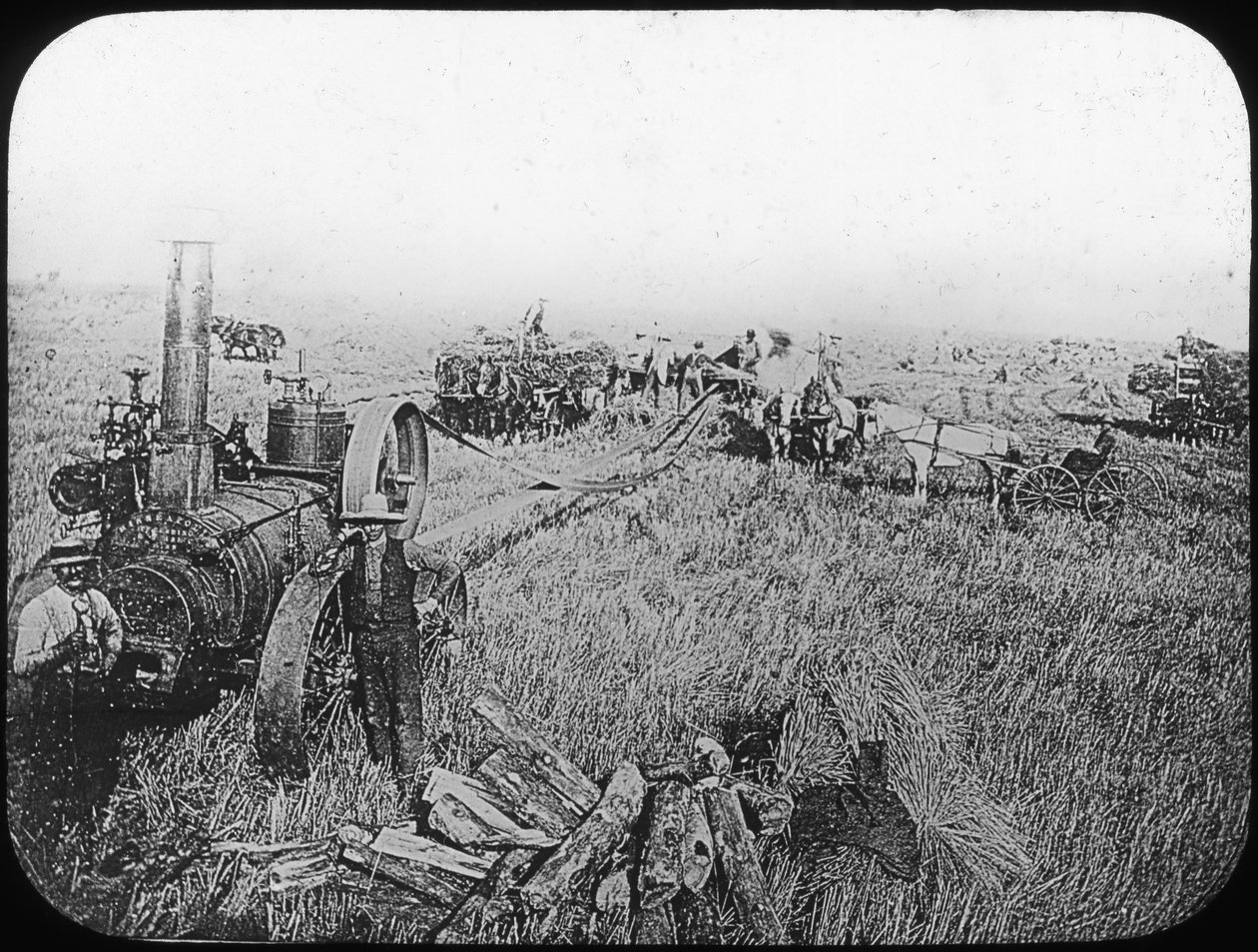 Scène de récolte dans les prairies nord-américaines, fin du XIXe ou début du XXe siècle - George Philip and Son Ltd